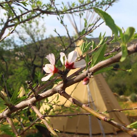Masbelvedere Estoi Ngoại thất bức ảnh